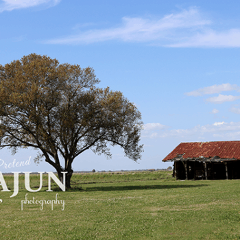 Forgotten barn against a blue sky