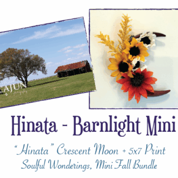 "Hinata" - Barnlight Mini