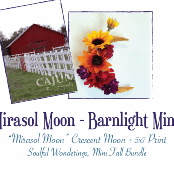 "Mirasol Moon" - Barnlight Mini