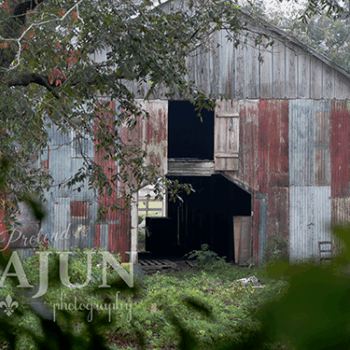 Old Tin Barn