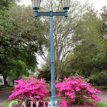 Lamp post